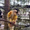 신갈어린이공원L | 후쿠오카 2월 사파리 마이카투어 입장료 l 예약없이 방문 l 추웠던 날 후기