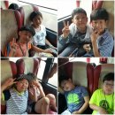 용인대 수 합기도 이미지