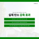 보배태양광발전소 이미지