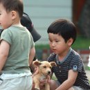 깔끄막 희컨집 이미지