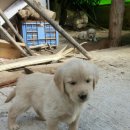 엘림농원 이미지