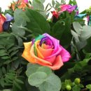 무지개가 피어나는 이미지