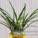 구지면 행정복지센터 이미지