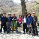 군산대덕식당 Daum카페