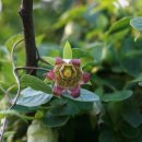 더덕이네 이미지