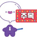 돈바돈바