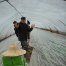 웰빙산약초공동체 이미지