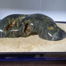 김동환농장 이미지