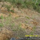 소나상회 이미지