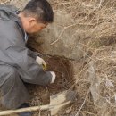 보라농장2 이미지