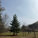 세븐일레븐 대전노은광장점 | 대전 은구비공원, 6살 아이랑 다녀온 노은 피크닉 후기 (숲놀이터까지)