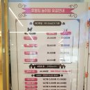 뽀도독 애견카페 네이버블로그