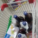 소나무 황토빌 이미지