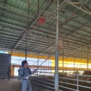 보은옥천영동축산업협동조합 이미지