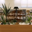 정선정보고등학교 이미지