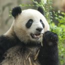 부동산경매공법(주간) 이미지