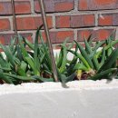 삼동농장 이미지