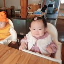 담이의외출