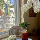 행정용 42 | 충주 교현동 카페 아흐레 커피 자연광 예쁜 분위기 좋은 데이트 카페 후기