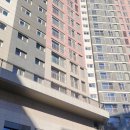 딸부자 PC방 | 이사주차협조안내문 강릉율곡이사 내가 강릉율곡이사를 고른이유 강릉포장이사전문업체 가족운영강릉...