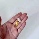 나우케어 | [비린내 ZERO 고순도 오메가3] 나우케어 오메가스타__한달 후기