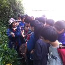 개림초등학교 이미지