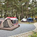 회동관광지 이미지