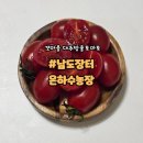 은하수가구 | 🛒 [은하수농장] 남도장터 배송 / 방울토마토 배송 리뷰