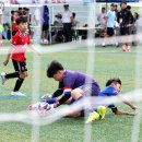 괴산군, 2026 자연울림 유소년 축구 페스티벌 본격 리그전 돌입 이미지