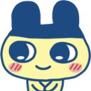 ʚ 숀달 4 ɞ 이미지