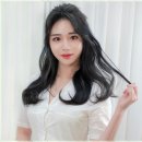 샤인헤어 네이버블로그