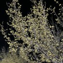 더케이지리산가족호텔 앞 이미지