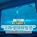 엔진마을 | 울산 장생포 고래생태체험관 울산함 주차장 관람 정보