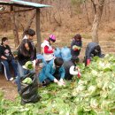 고천농장 이미지