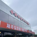 다양약국 | [제주 대형약국] 종류 다양하고 주차 편한 '제주메가약국' 상비약·영양제 내돈내산 솔직후기!