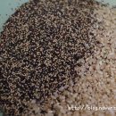 솔로몬농장 이미지