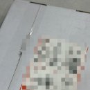 클럽21 | 꼼데가르송 더블하트 가디건 클럽 21 직구 후기 사이즈 팁 추천