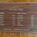슈가트리(sugar tree)