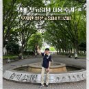 일본 eSIM 나고야 eSIM은 트로미로! 첫 이심 후기