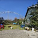 무창포 한마음펜션 이미지