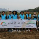 금산영농인삼