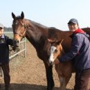 부자목장2 이미지