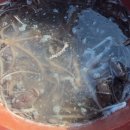 대인약국 이미지