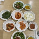 협진식당5호집 | 독산동 한우 맛집 : 협진식당5호집 차돌박이 육회쌈