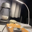 미애향연 | <7/4-7/10> 주간 여름당근🥕 #6 (부제: tmi와 tmt의 향연)