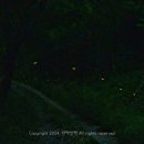 아산시-2017-014 이미지