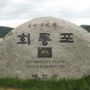 제8차 2010년10월10일 비룡산(회룡포) 정기산행 이미지