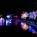 거북공원-2 이미지