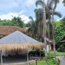 치유요가반 이미지