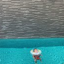 비고리조트 9 이미지